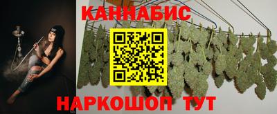 Альфа ПВП Бийск